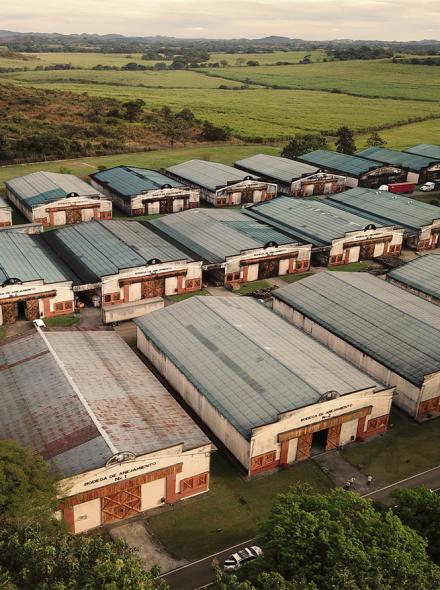 foto bodega